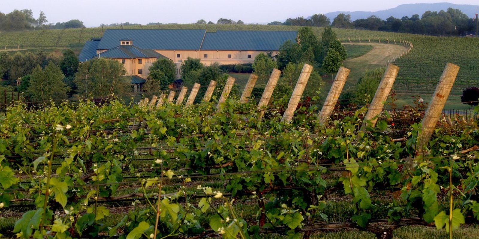 20+ Things to Do Near Fort Bragg, in Fayetteville, Spring Lake, Hope Mills, and More!