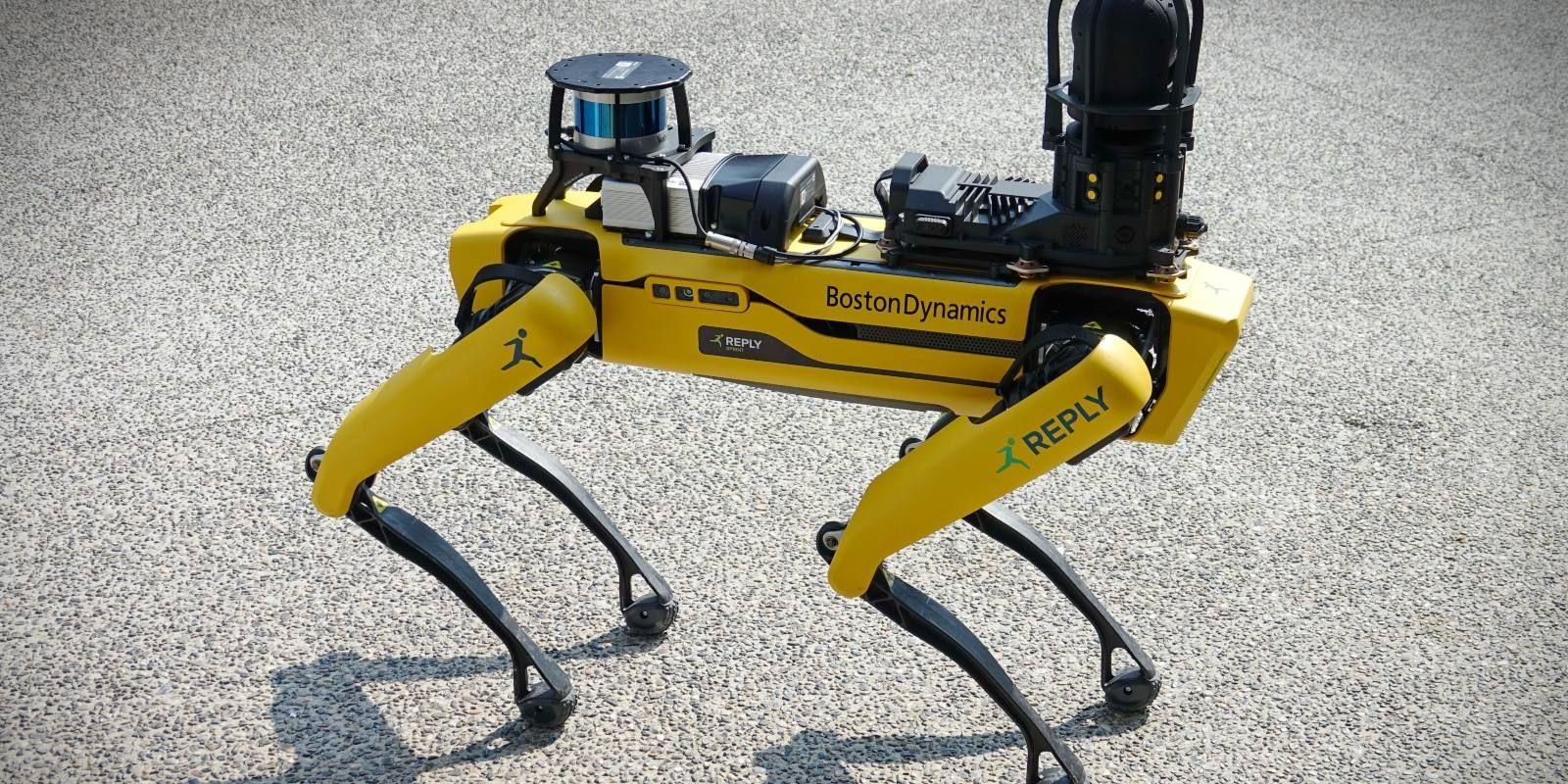 Military Robot Dog: The Future of (Creepy) Base Security Is Here